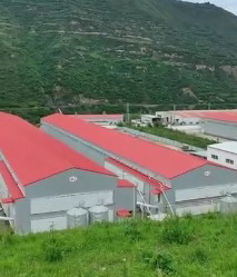 華邦建設宕昌項目鋼結構廠房